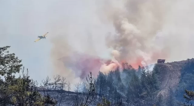 Marmaris'te orman yangını: Datça-Marmaris karayolu trafiğe kapatıldı