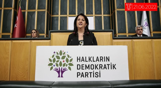 Pervin Buldan: HDP kökleri olan bir çınardır