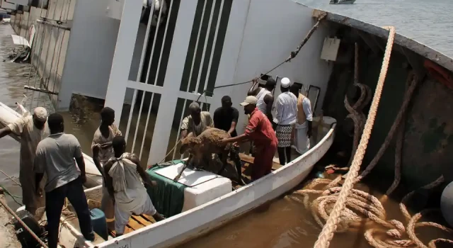 Sudan'da gemi battı; 15 bin koyun boğularak öldü