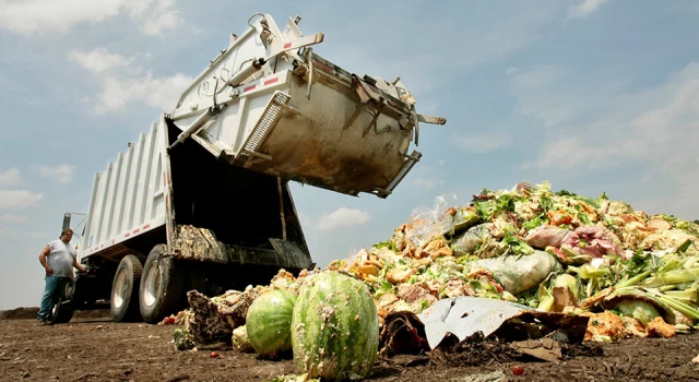 Türkiye'de her yıl çöpe giden yiyecek miktarı: Kişi başına 93 kilogram