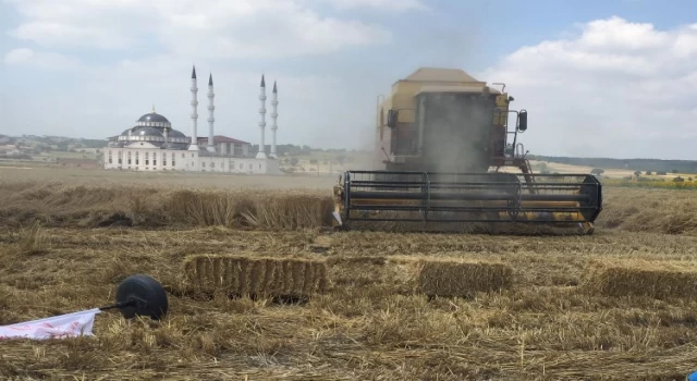Bursa Nilüfer’de buğday tarla günü düzenlendi