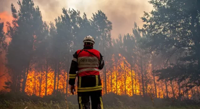 Fransa’daki orman yangınları adrenalin peşindeki bir itfaiyeci tarafından çıkarılmış
