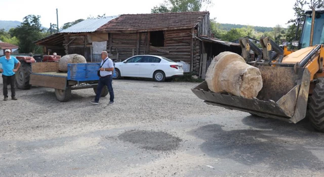 250 yıllık sütunlar villanın bahçesinde bulundu