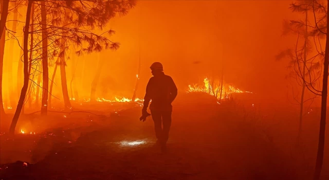 Fransa’nın Korsika Adası’ndaki yangında 450 hektarlık yeşil alan kül oldu