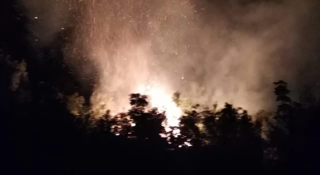 Hatay’da orman yangını