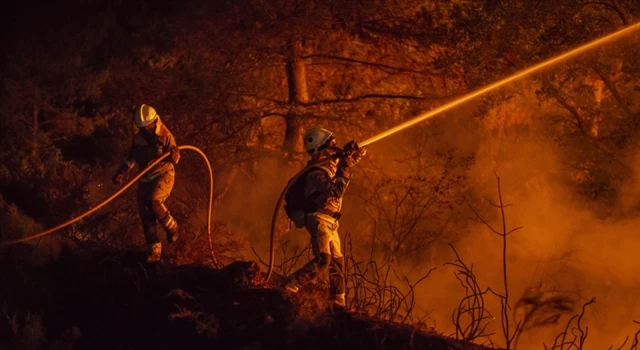 İspanya'da bu yüzyılın en büyük orman yangını