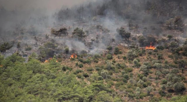 Mersin’deki orman yangını 4’üncü gününde kontrol altına alındı