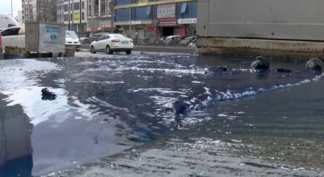 İSKİ'den 'mavi su' açıklaması: "Çok sayıda ponza taşı çıkartıldı"
