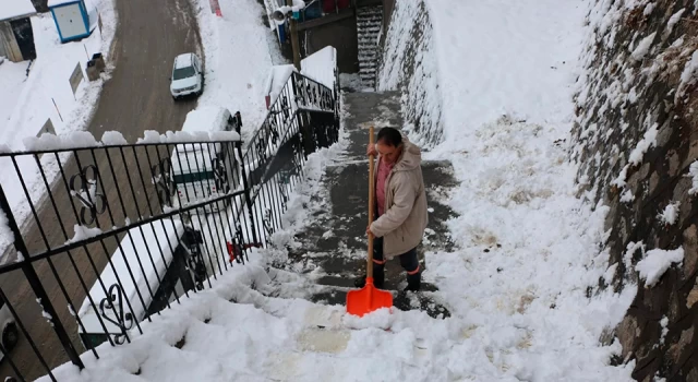 Bitlis’te kar yağışı dolayısıyla 282 yerleşim yerine ulaşım sağlanamıyor