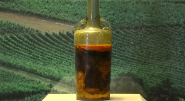 Dünya'nın bugüne ulaşabilen en eski şarabı