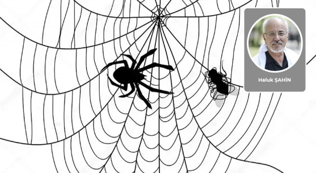 Haluk Şahin yazdı: Örümcek misiniz yoksa sinek mi? Dijital ağda yeriniz neresi?