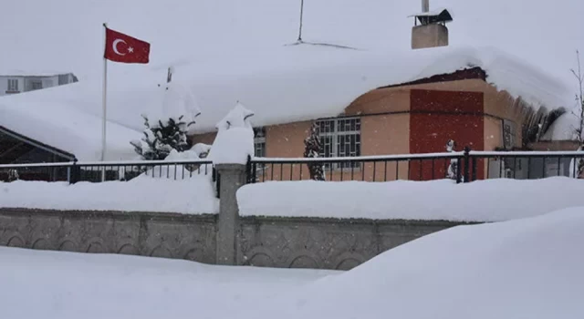 Bitlis’te 82 köy yolu, kardan kapandı