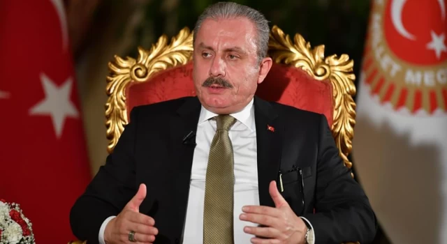 TBMM Başkanı Mustafa Şentop: Erdoğan'ın adaylığı için istisna hükme gerek yok