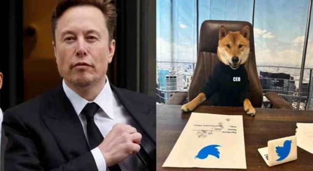 Elon Musk köpeğini Twitter'a CEO olarak atadı