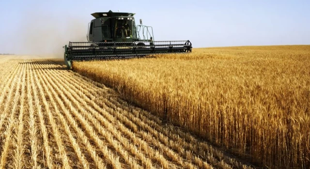 Tarımda üretici enflasyonu, yıllık bazda yüzde 106 arttı