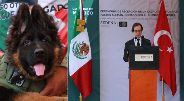 Türkiye’den Meksika’ya gönderilen yavru köpeğe ismi törenle verildi: 'Arkadaş'