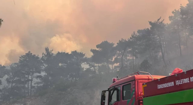 Bakan Yumaklı: Hatay - Belen’deki orman yangını kontrol altına alındı
