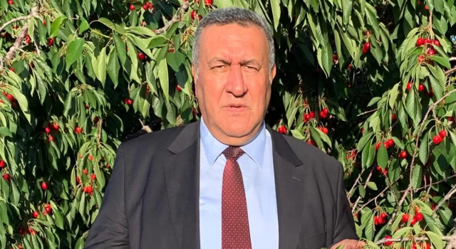 CHP'li Gürer: “Kiraz ağaçları meyvesi toplanmadan kesiliyor”