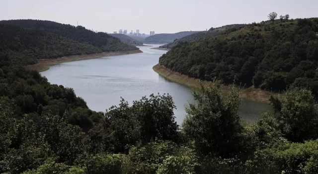 İstanbul'un barajları alarm veriyor: Uzmanlardan tasarruf uyarısı