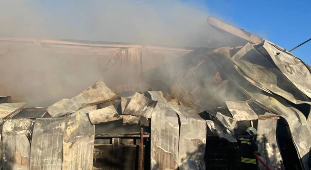 Antalya'da Organize Sanayi Bölgesi'ndeki gıda fabrikasında yangın