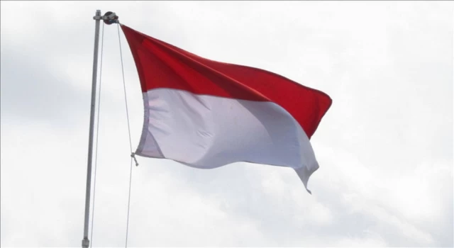 Endonezya'da hava kirliliğini önlemek için kamu personeli evden çalışacak