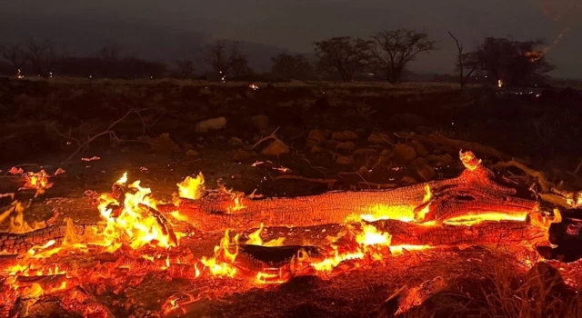 Hayatını kaybedenlerin sayısı her gün artıyor: Hawaii'deki orman yangınlarında son durum