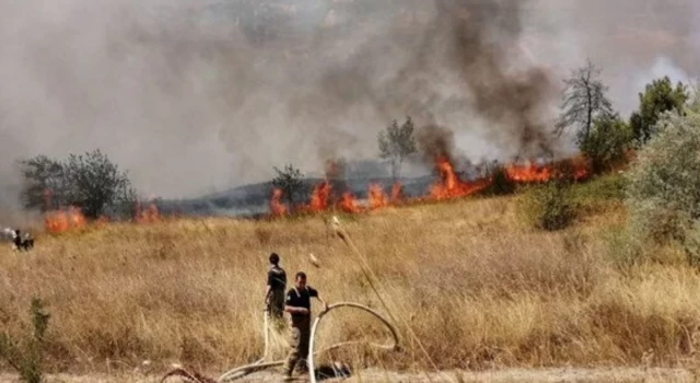 İstanbul Büyükçekmece'de orman yangını
