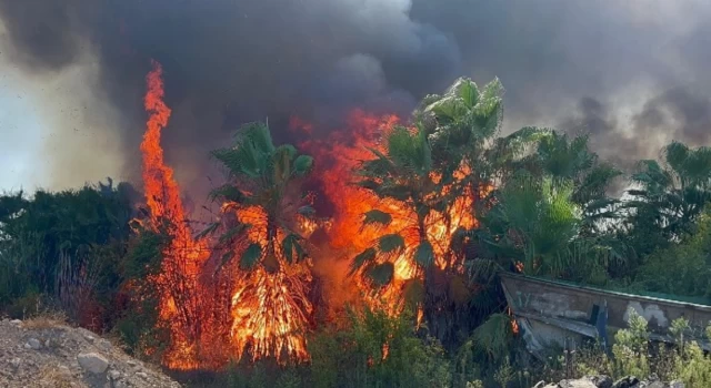 Antalya'da teknede çıkan yangın ormana sıçradı