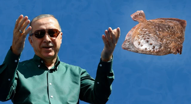 Cumhurbaşkanı Erdoğan’ın en sevdiği balık kalkan ne kadar? Kalkan balığını kilosu kaç para?