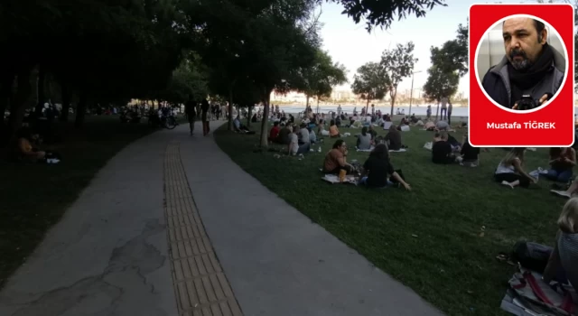 Parkta otururken, alkol promil sınırı kaçtır?