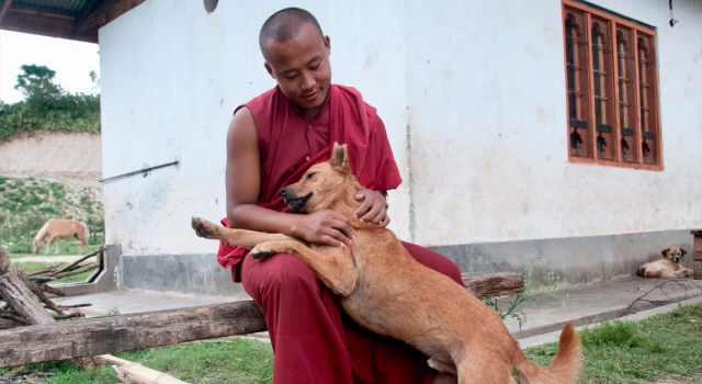 Dünya'da sokak köpeklerinin tamamını kısırlaştıran ilk ülke Bhutan oldu
