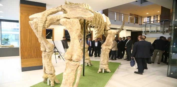 Kayseri Büyükşehir fosil faunasını canlandıracak