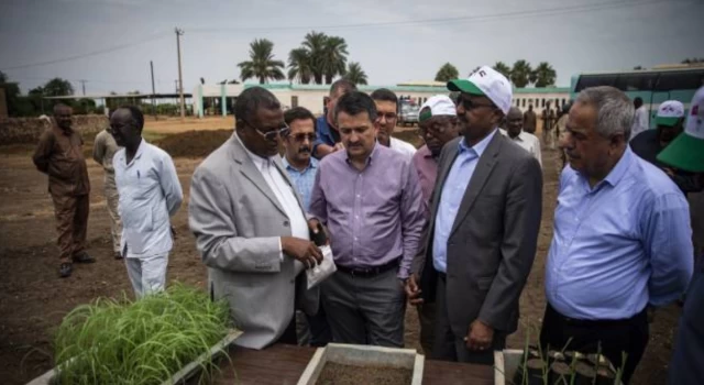 AK Parti'nin Sudan’daki tarım projesi iflas etti