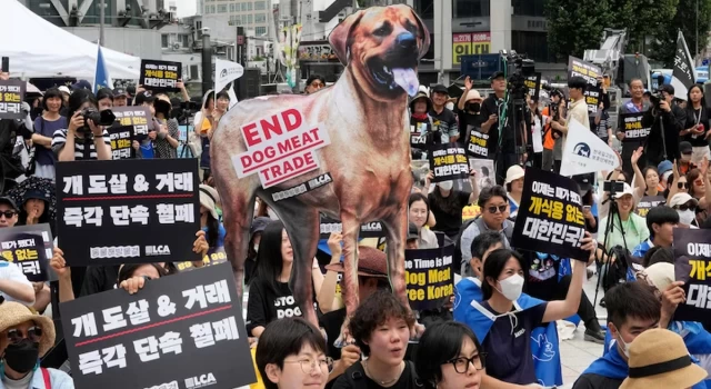 Güney Kore'de köpek eti ticareti ve tüketimi yasaklandı