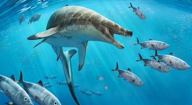 66 milyon yıllık tehlikeli bir deniz kertenkelesi fosili bulundu