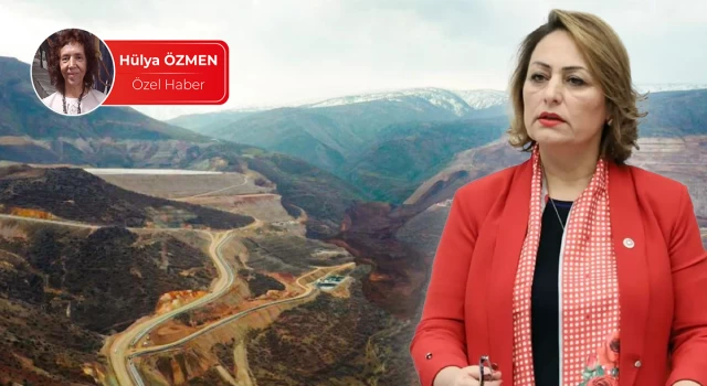 CHP’li Şevkin, İliç Maden Ocağı için 12 maddelik rapor hazırladı