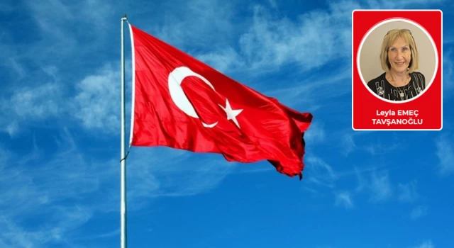 Türkiye terörist kuluçkasına döndü