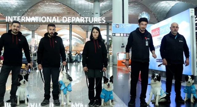 Türkiye'de ilk: İstanbul Havalimanı'nda uçuş stresine köpekli önlem