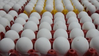 Yumurta fiyatlarında dev artış