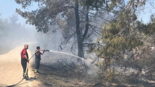 Adana'daki orman yangını kontrol altına alındı