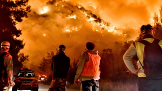 Yunanistan’da orman yangını: Çalışmalar devam ediyor