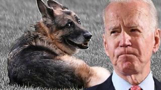 ABD Başkanı Biden, köpeğinin ölümünü duyurdu