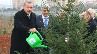 Erdoğan: İstanbul'da ağaç mağaç yoktu