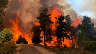 Kudüs'te yangın! 2 bin 650 dönüm arazi kül oldu