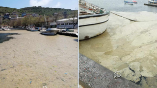 "Marmara Denizi'ndeki kirlilik, bulaşıcı hastalıklara yol açabilir"
