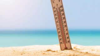 Yaz sıcaklarını hissettiğimiz bu aylarda nelere dikkat etmeliyiz ?