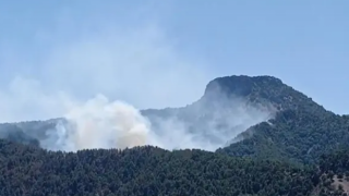 Adana Kozan'daki orman yangını kontrol altında