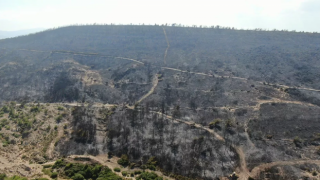 Foça yangınında 30 hektar alan zarar gördü
