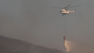 Foça'daki orman yangını kısmen kontrol altında