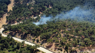 İzmir'de ormanlık alanda yangın; havadan ve karadan müdahale ediliyor